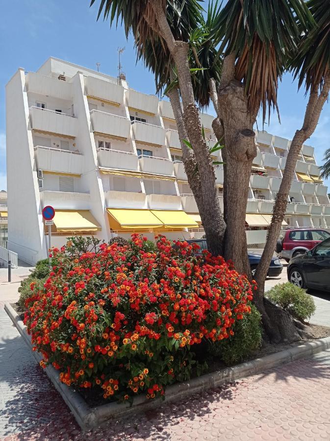Estudio Caleta De Velez Luaran gambar