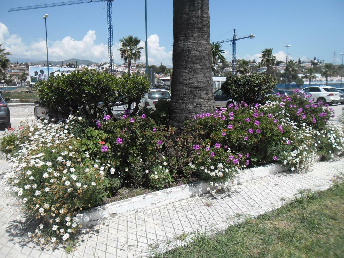 Estudio Caleta De Velez Luaran gambar
